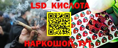 СК Нальчик