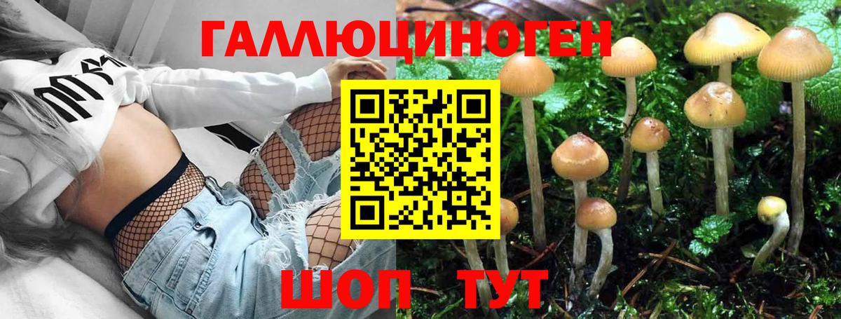Псилоцибиновые грибы прущие грибы Ступино